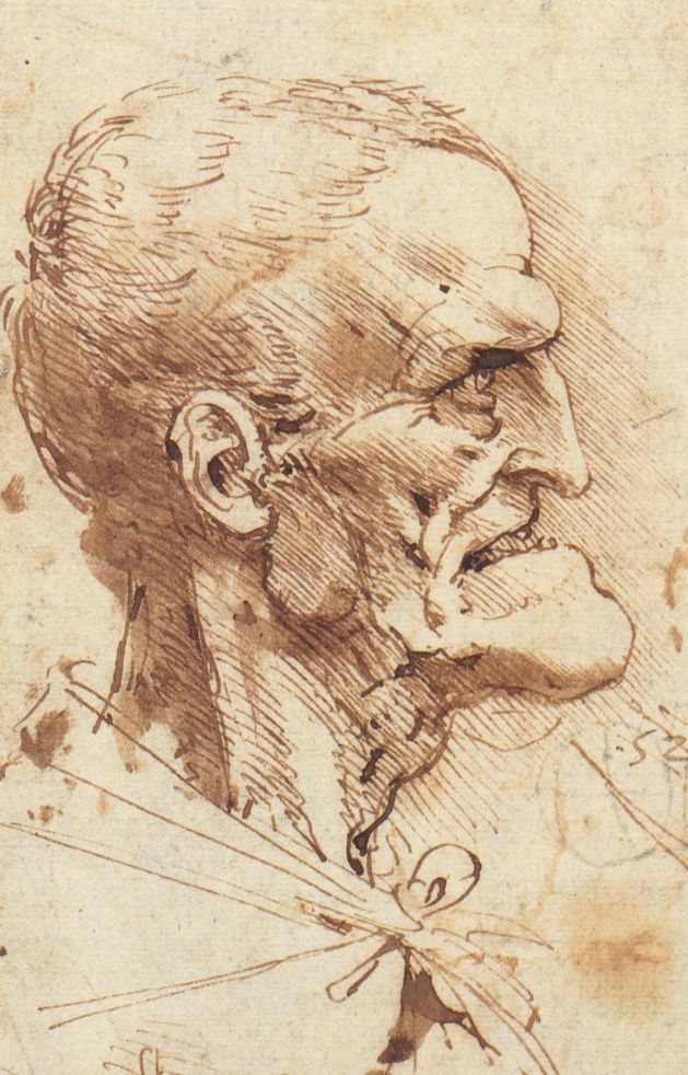 the drawings of Leonardo da Vinci