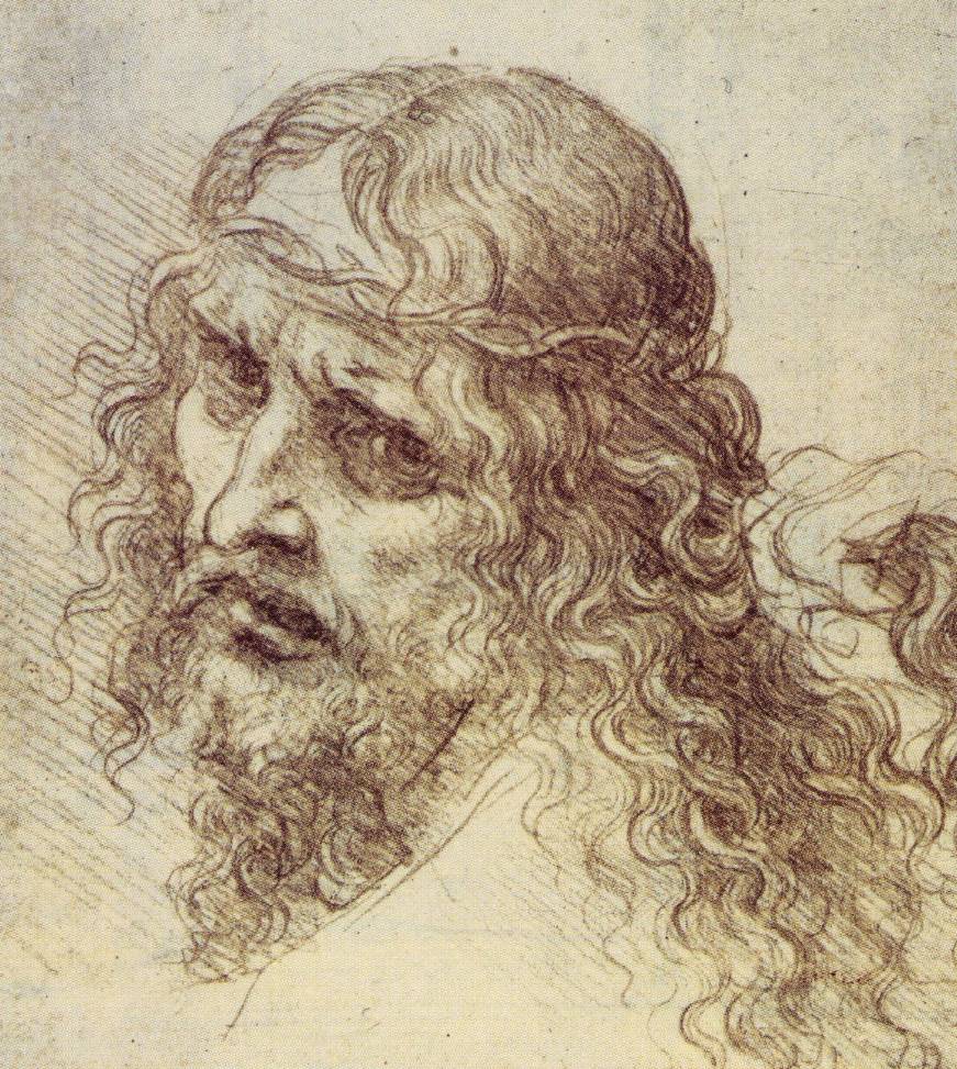 Da Vinci Figure Drawings Da Vinci Figure Drawings