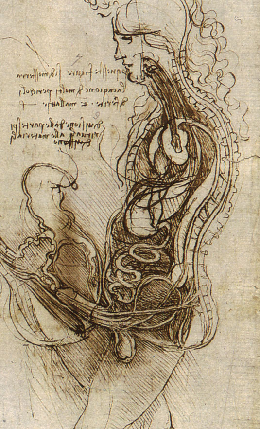 http://www.drawingsofleonardo.org/images/coition.jpg