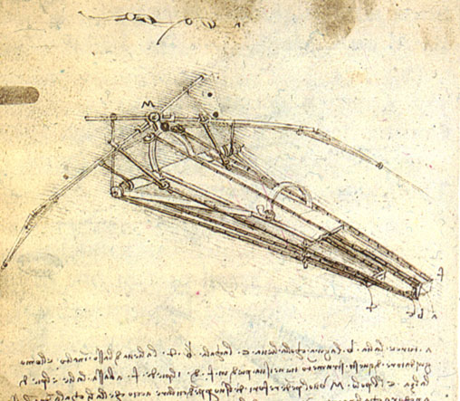 http://www.drawingsofleonardo.org/images/fly1.jpg