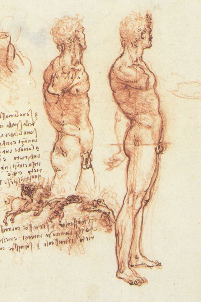 http://www.drawingsofleonardo.org/images/studyof_man.jpg