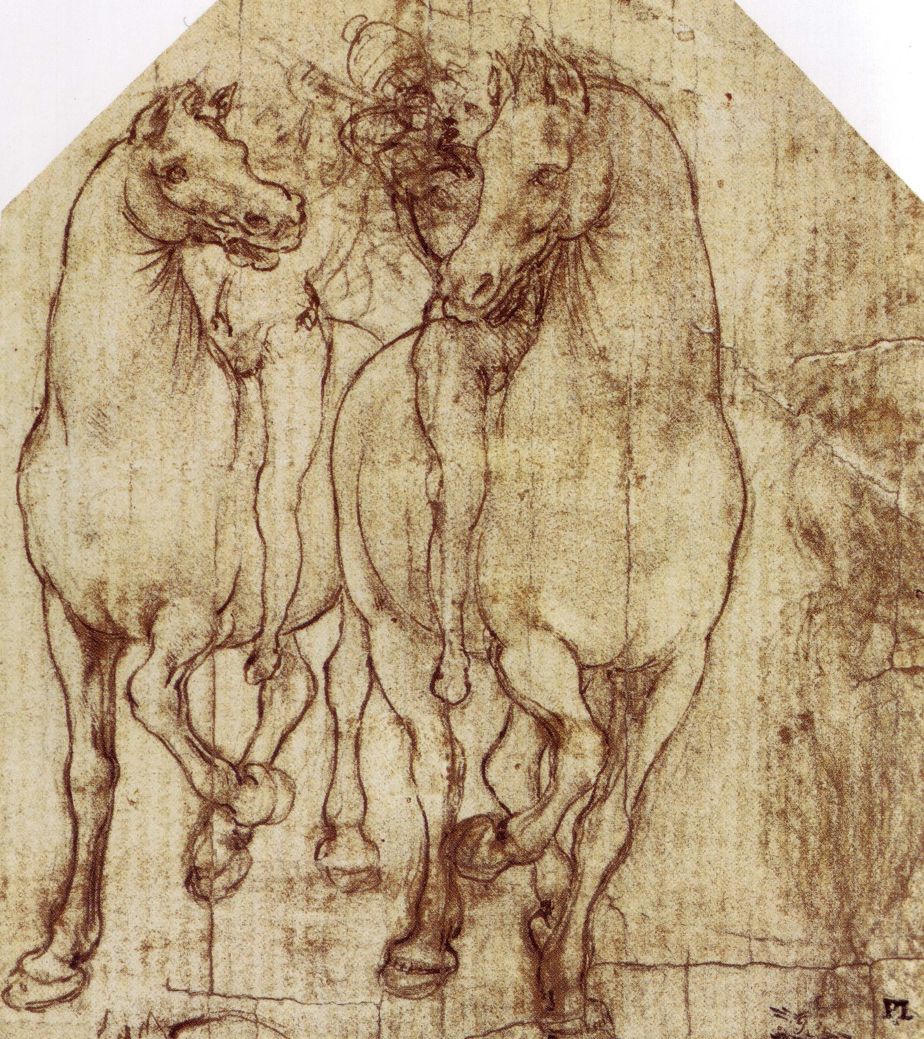 The Drawings Of Leonardo Da Vinci The Drawings Of Leonardo Da Vinci