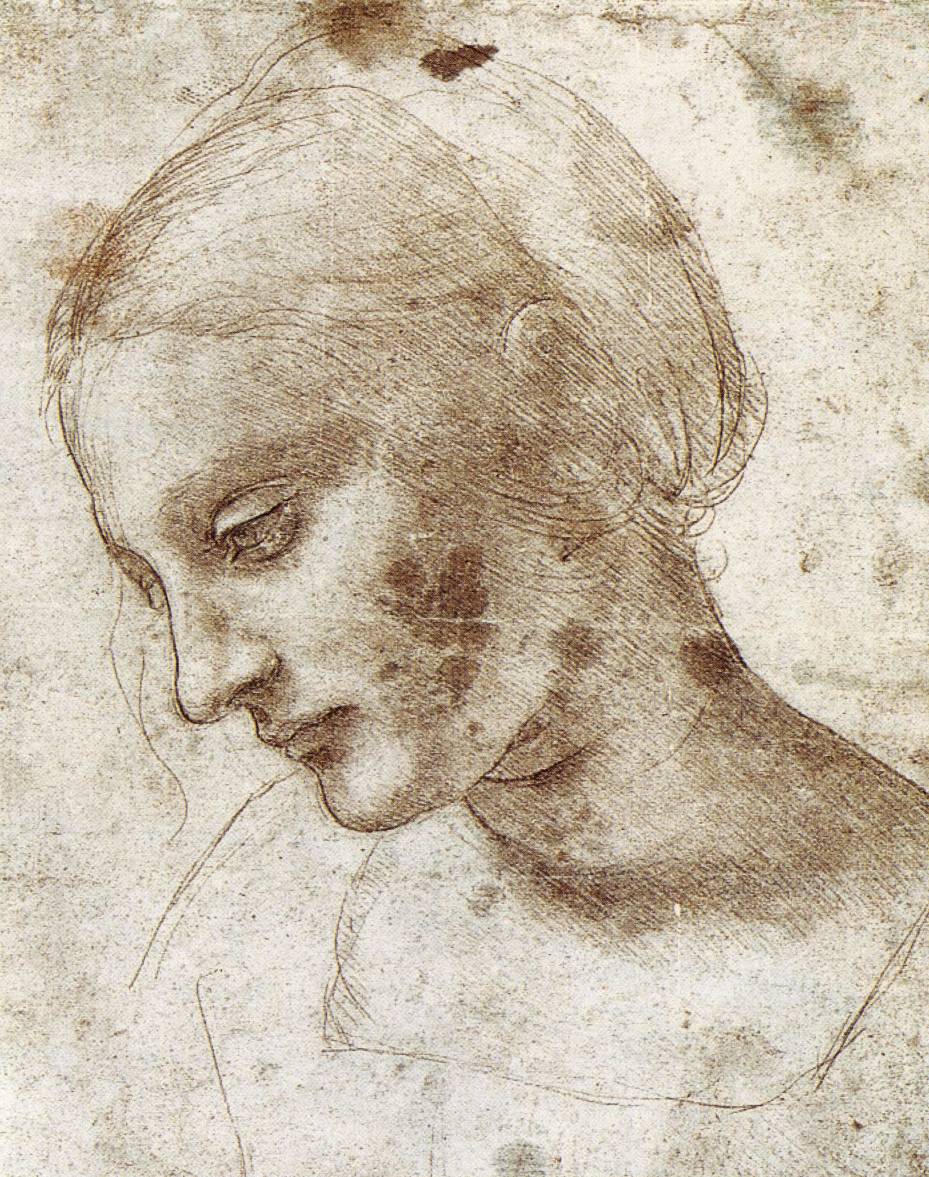The Drawings Of Leonardo Da Vinci The Drawings Of Leonardo Da Vinci