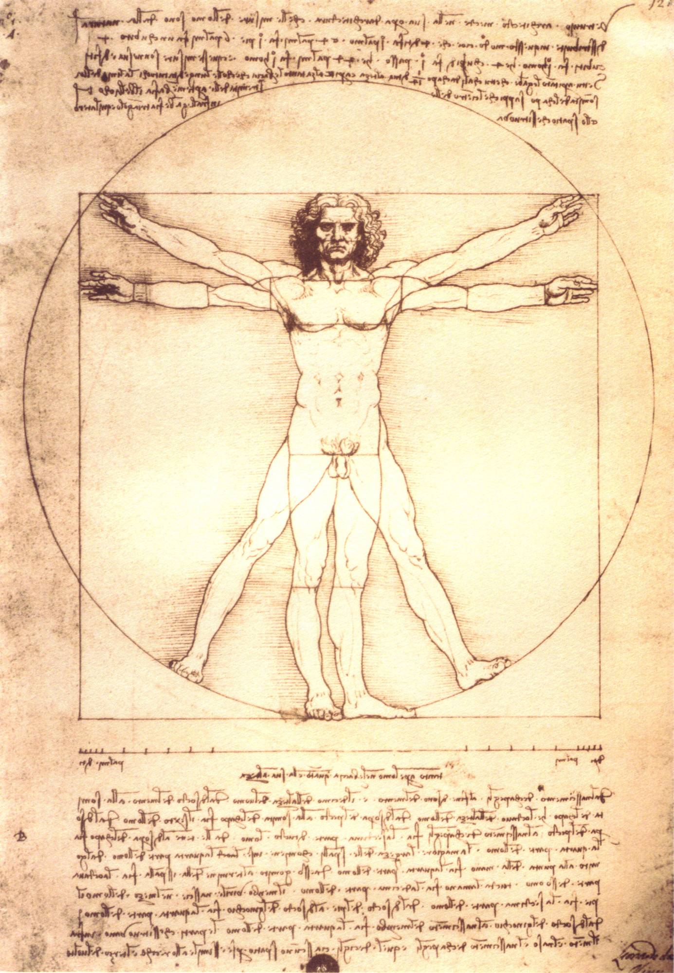 vitruvian.jpg